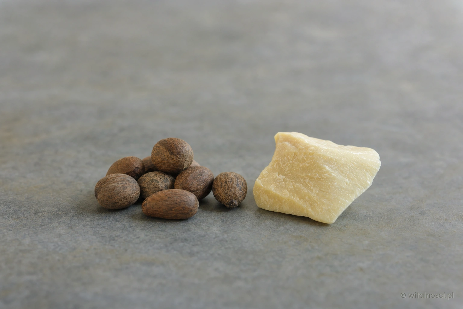 Orzechy shea obok tłuszczu kakaowego